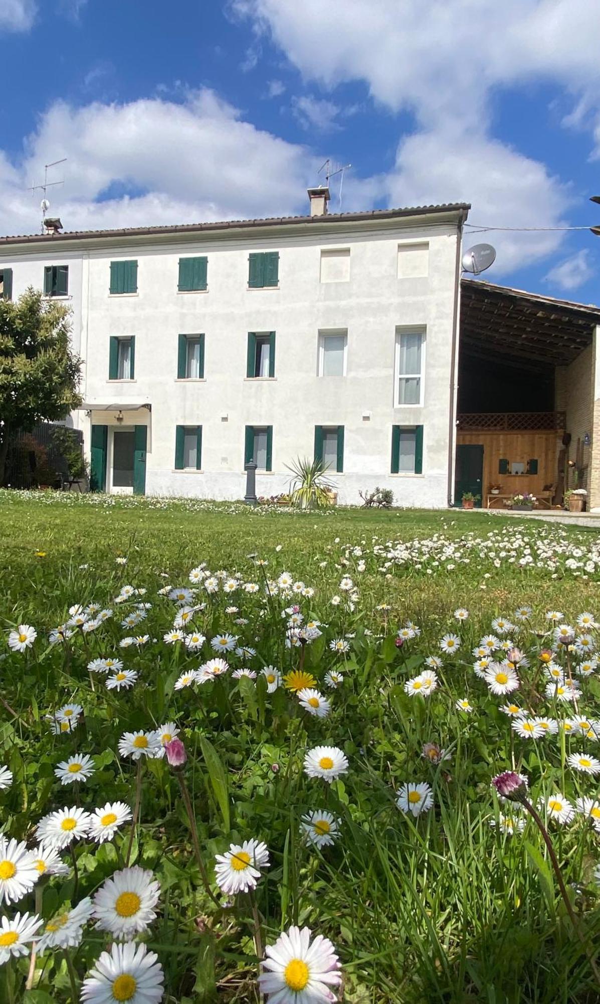 Apartamento Magnolia 41 Possagno Exterior foto